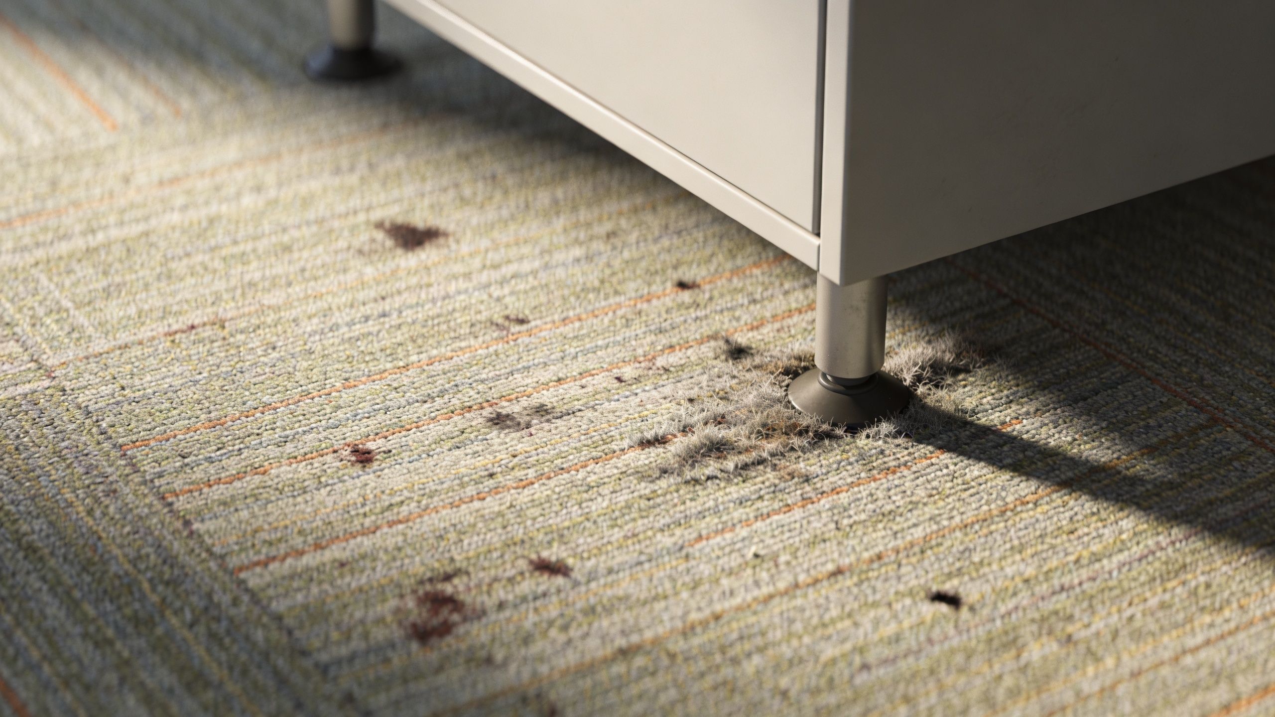 Close-up of a dusty office floor underneath a piece of furniture showing debris and worn carpet.
